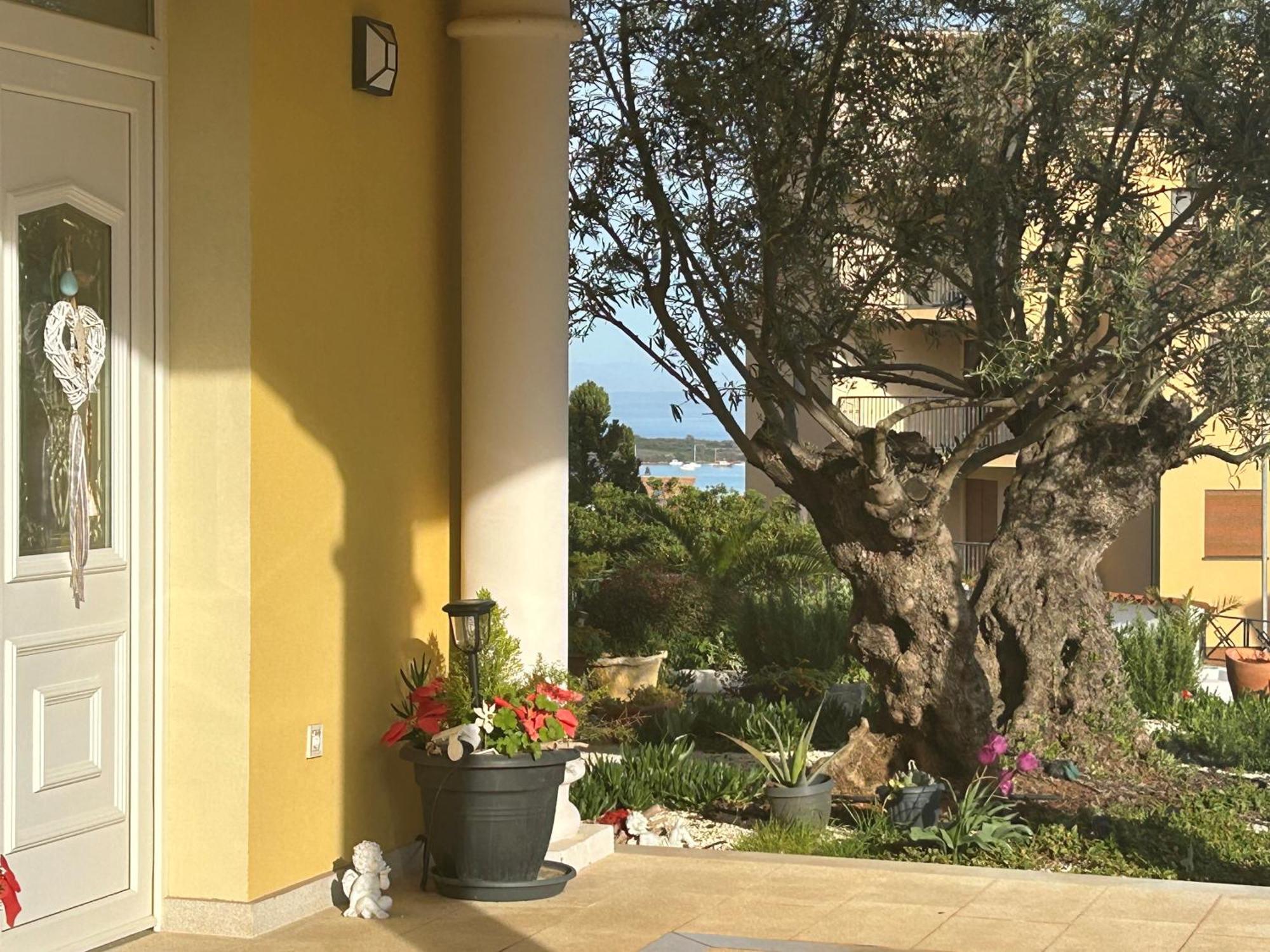Villa Istriana Liznjan Bagian luar foto
